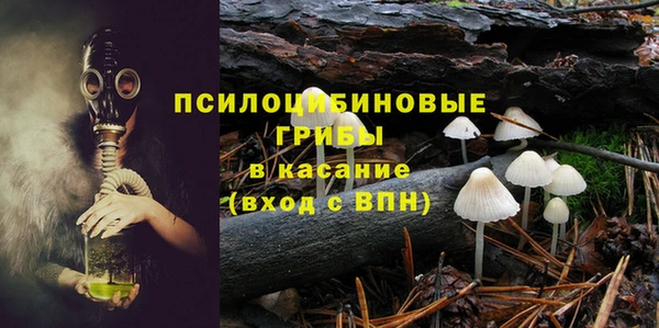 дмт Алзамай