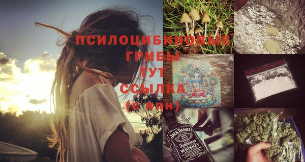 ECSTASY Алексеевка