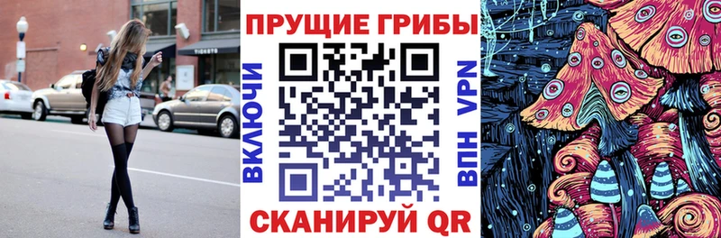 Галлюциногенные грибы Psilocybe Арзамас